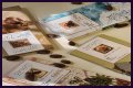 A Journey Of Flavors And Cultures